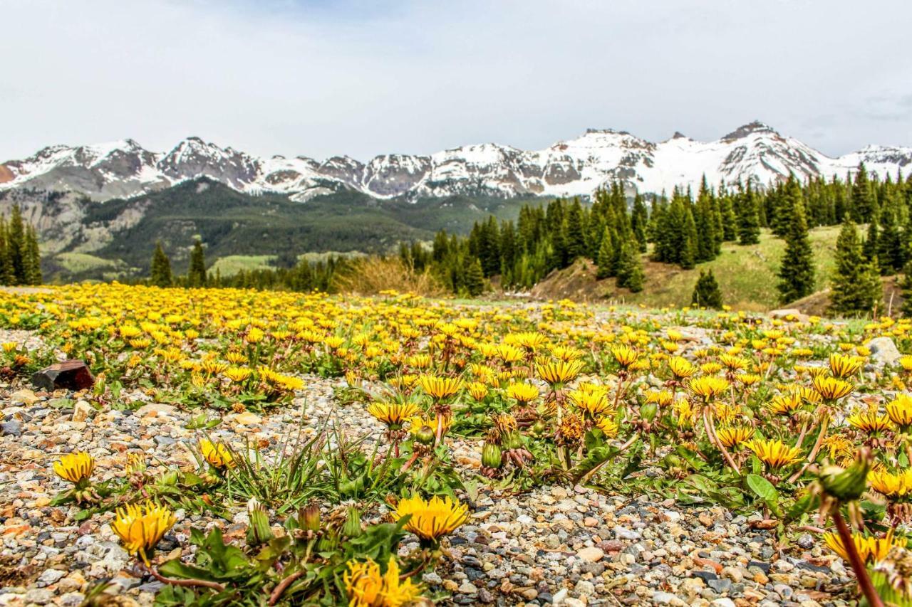 Rocky Mountain Lookout Hotel Telluride Buitenkant foto